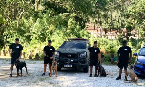 Agentes da Guarda Municipal de Barra Mansa participam de curso de condutores de cães policiais